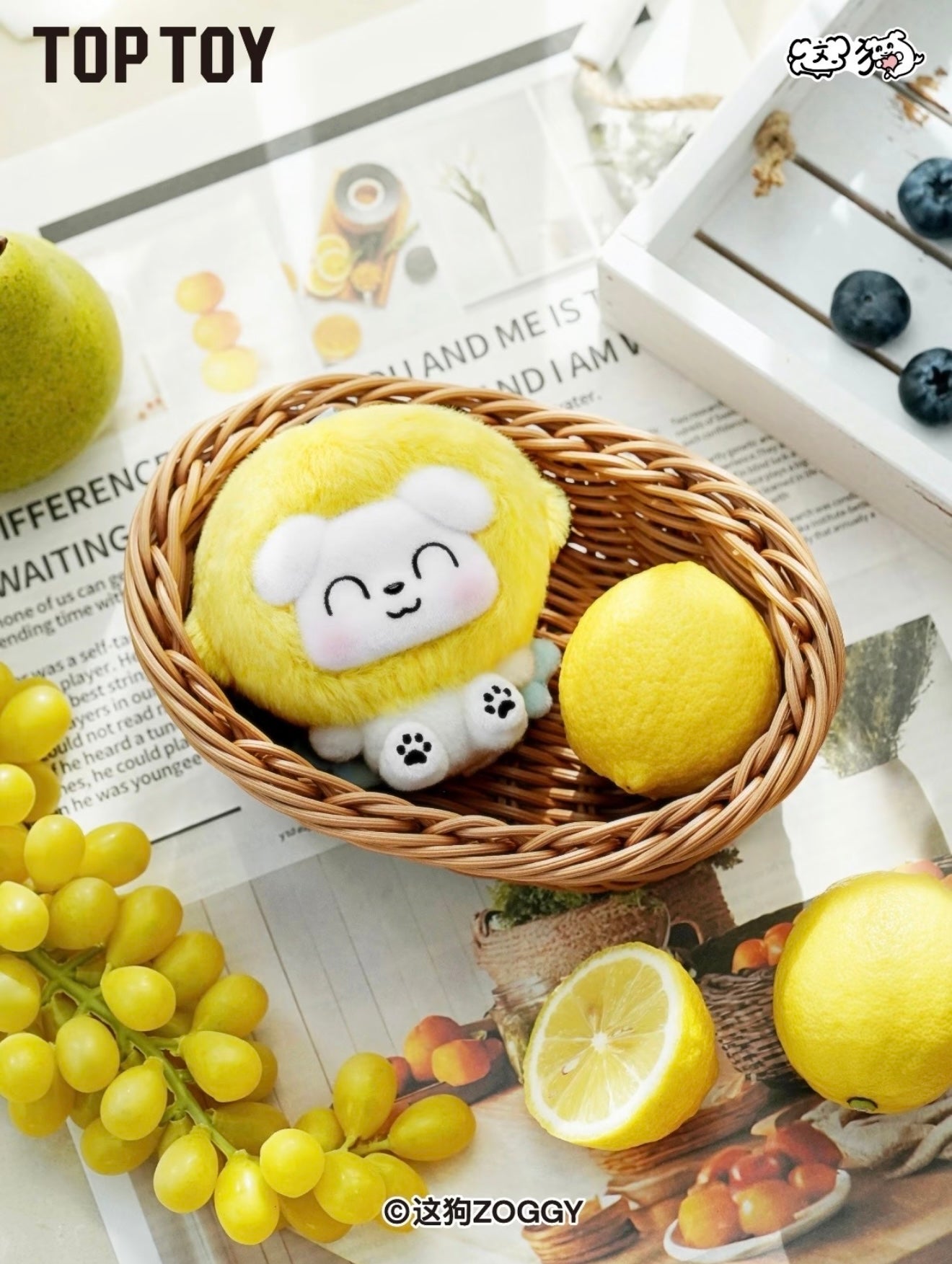 ZOGGY Cute Fruit Shop Series Plush Blindbox